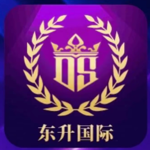 东升国际